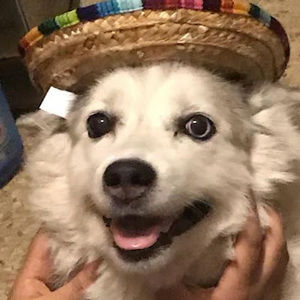 Meet your Posher, Andy